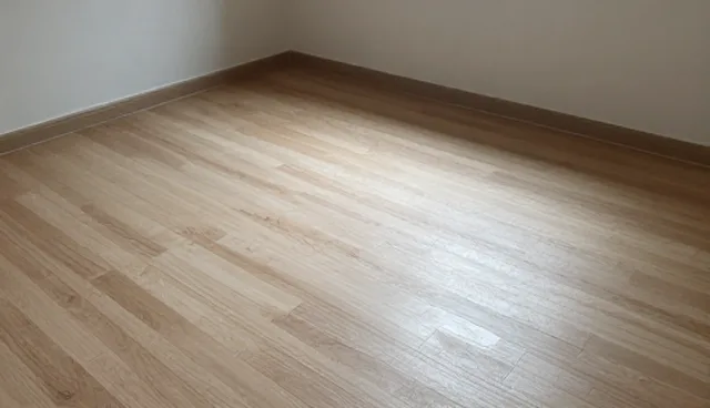 系统兼容性问题的使用建议与限制分析